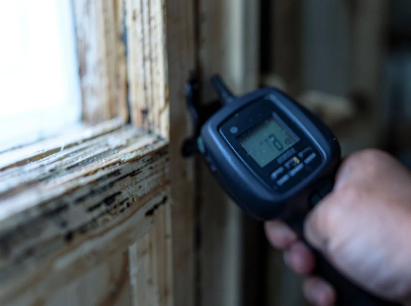 Moisture Inspection And Documentation in Stockett, MT